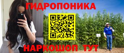 ПСИЛОЦИБИНОВЫЕ ГРИБЫ Кохма