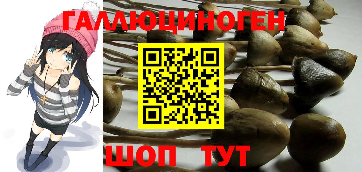 Галлюциногенные грибы MAGIC MUSHROOMS  Вход с VPN  Егорьевск 