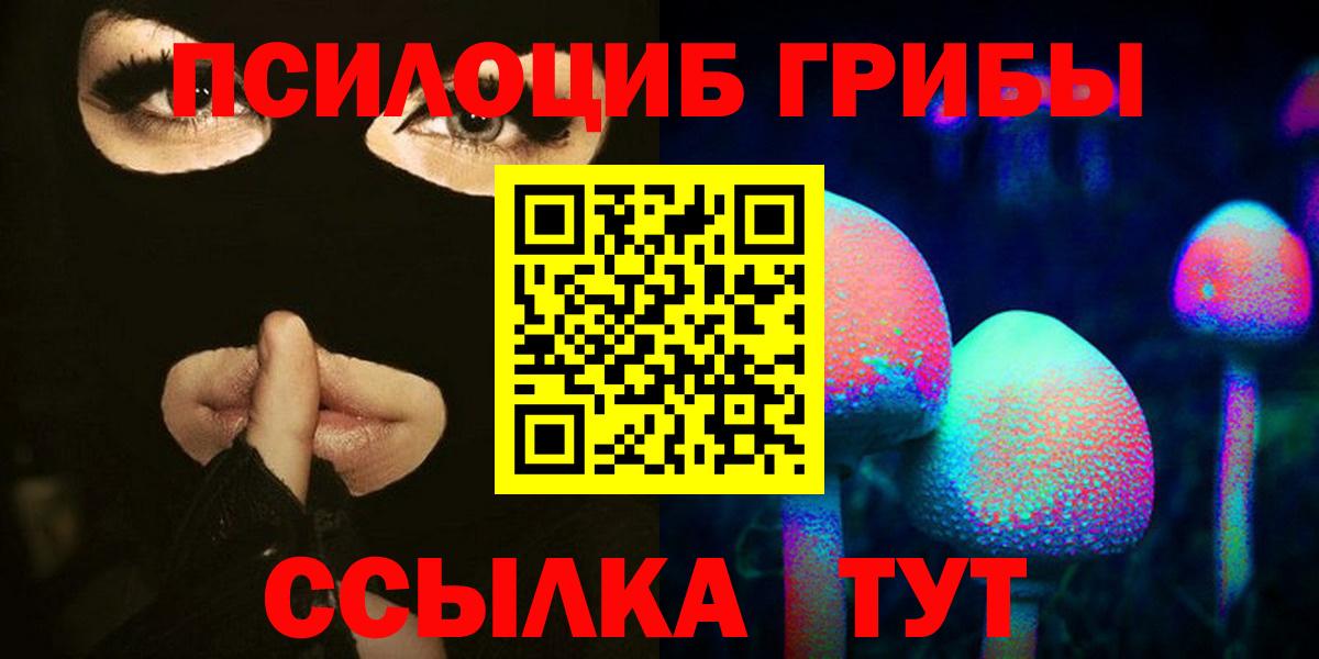 Псилоцибиновые грибы мицелий Егорьевск