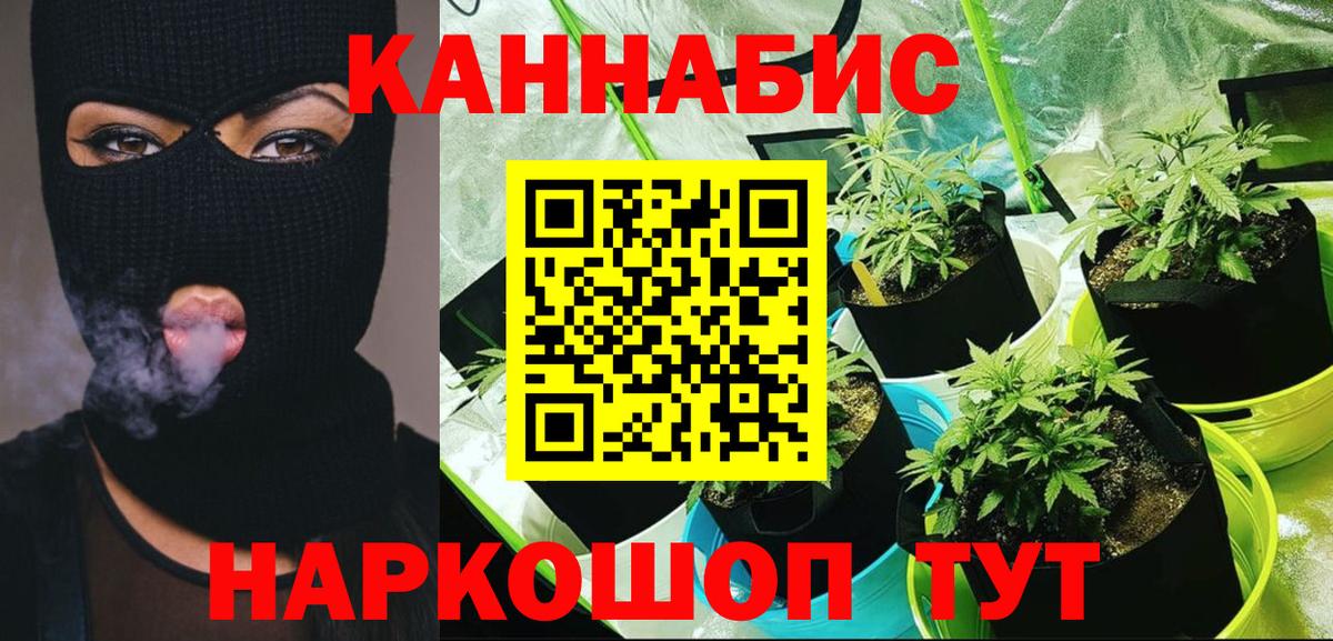 Марихуана MAZAR  Каннабис тримм  Каннабис ГИДРОПОН  Егорьевск  Вход с VPN 